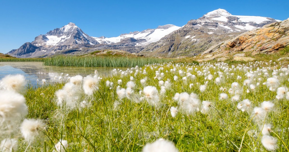 Wandern im Nationalpark Vanoise