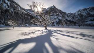 Großer Ahornboden. Foto: Heinz Zak