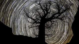 Startrails, Großer Ahornboden. Foto: Heinz Zak