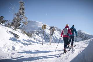 Zwei Skitourengeher vor einer weißen Kulisse, im Hintergrund der Schneibstein.