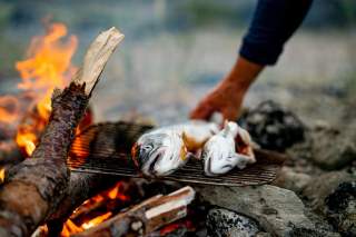 Fisch wird auf Lagerfeuer gegrillt