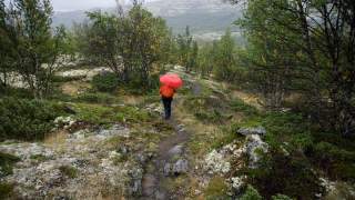 Nicht immer ist das Wetter sonnig – mitunter begleitet Regen den Olavsweg. Foto: Joachim Chwaszcza
