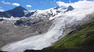 Gletscher mit Schnee und Eis zwischen felsigen Bergen, im Vordergrund grüne Wiese, blauer Himmel mit wenigen Wolken.