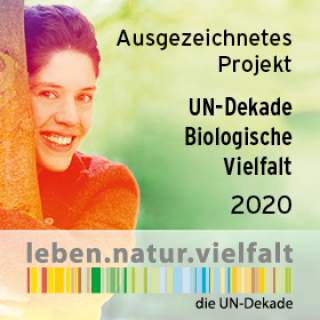 191019 028 UN-Dekade Logo Ausgezeichnetes Projekt-2020 280x280px