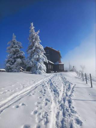 Hütte in verschneiter Landschaft