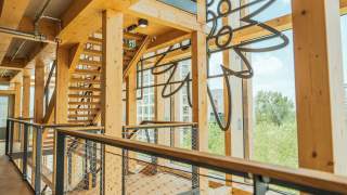 Treppenhaus mit viel Holz und Glasfront