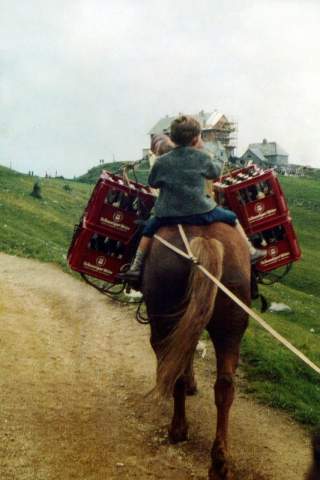 Historisches Bild von Pferd, dass auf Forstweg Hütte mit Getränken beliefert