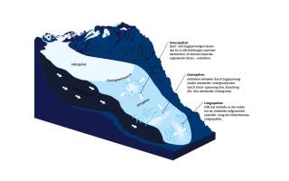 Illustration der Entstehung eines Gletschers