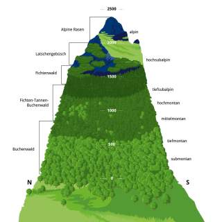 Illustration der verschiedenen Alpen-Zonen