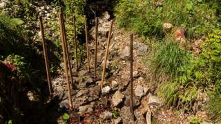 Schaufen und Harken stecken in Waldboden