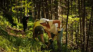 Menschen arbeiten im Wald