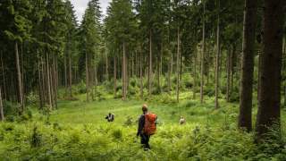 Menschen in Waldgebiet