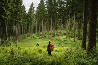 Menschen in Waldgebiet