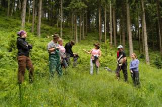 Gruppe von Menschen steht im Wald, Frau erklärt was