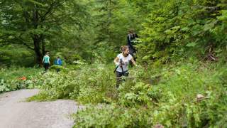 Menschen zerlegen einen umgestürzten Baum
