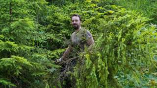 Mann arbeitet im Wald