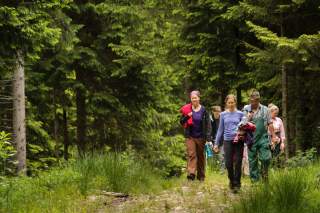 Gruppe von Menschen wandert durch Wald