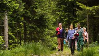 Gruppe von Menschen wandert durch Wald