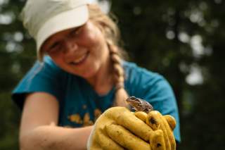 Mädchen mit gelben Handschuhen hat Frosch auf der Hand