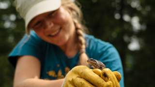 Mädchen mit gelben Handschuhen hat Frosch auf der Hand