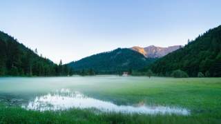 Wiese im Morgennebel