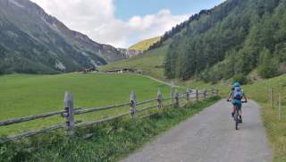 Mensch auf Mountainbike auf Forststraße in Almgebiet