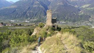 Zwei Mountainbiker auf Trail ins Tal