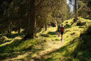 Zwei Wanderer mit Rucksäcken gehen auf einem sonnigen Waldweg durch grünes, lichtdurchflutetes Gelände.