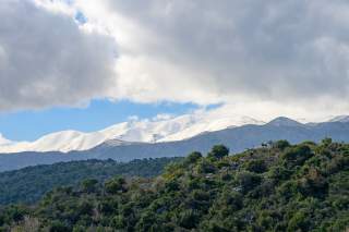 Blick auf grünes Tal und weiße Gipfel im Hintergrund