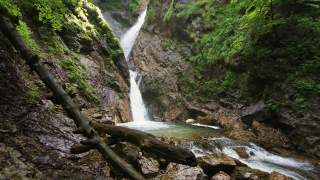 Ein kleiner Wasserfall stürzt herab und bildet eine kleine Gumpe.