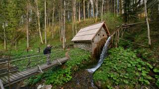 Kleine Wassermühle im Wald