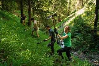 Freiwillige der Aktion Schutzwald