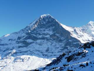 Schneebedeckter Berg unter klarem blauem Himmel mit vereinzelt sichtbaren dunklen Felsabschnitten und Nadelbäumen im Vordergrund.