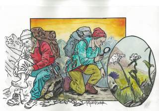 Eine Illustration mit zwei Bergsteigern – einer hat einen Stiefel ausgezogen, die andere schaut sich Pflanzen unter der Lupe an.