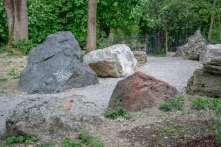 Gesteinspfad im Garten des Alpinen Museums.