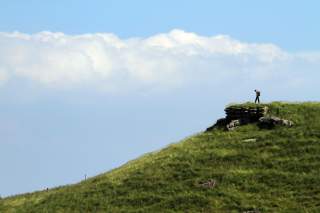 Wanderer auf grasbewachsenem Hang