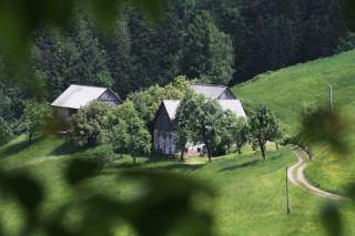 Alte Hütten in Wald- und Wiesenlandschaft