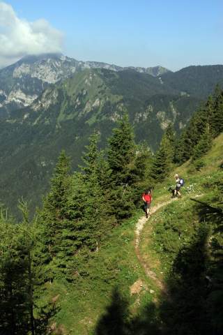 Blick auf Bergsteig mit Wandernden
