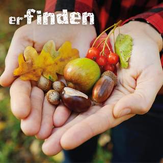 Kinderhände halten Kastanien und Laub