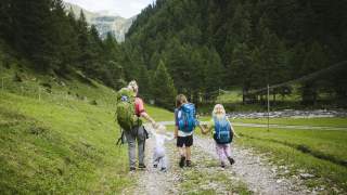 Familie von hinten auf dem Wanderweg.