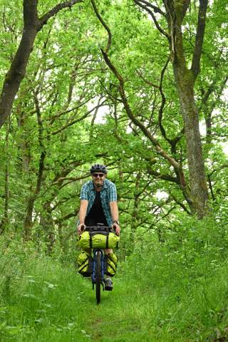 Fahrradfahrer fährt durch grünen Wald