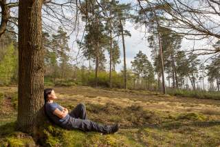 Wanderin sitzt gegen einen Baum gelehnt und genießt die Sonne. Wanderin sitzt gegen einen Baum gelehnt und genießt die Sonne.