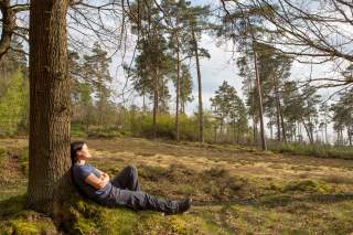 Wanderin sitzt gegen einen Baum gelehnt und genießt die Sonne.