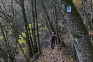 Auf dem Saar-Hunsrück-Steig durchs Baybachtal