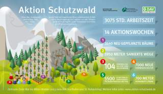 Grafik Aktion Schutzwald mit Angabe der geleisteten Arbeiten im Jahr 2024.