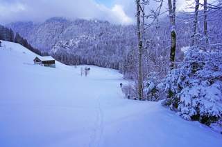 Schneeschuhwanderer läuft einen verschneiten Hang bergab