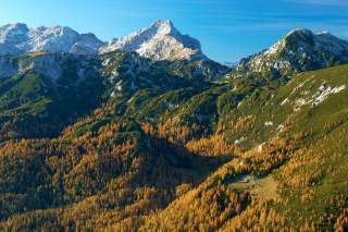 Blick auf steile Berggipfel mit Hängen voller Latschen und gelber Lärchen