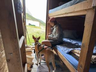 Frau sitzt auf einem Bett in einer Holzhütte und blickt auf einen angeleinten Hund, der zur geöffneten Tür mit Blick auf eine grüne Wiese schaut.