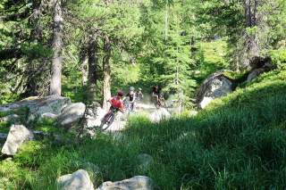 Kinder fahren mit Mountainbikes auf Trail durch den Wald