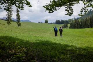 Zwei Wandernde auf einer Wiesenfläche